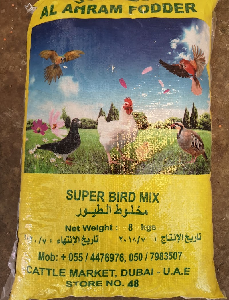 تصویر شماره 1
