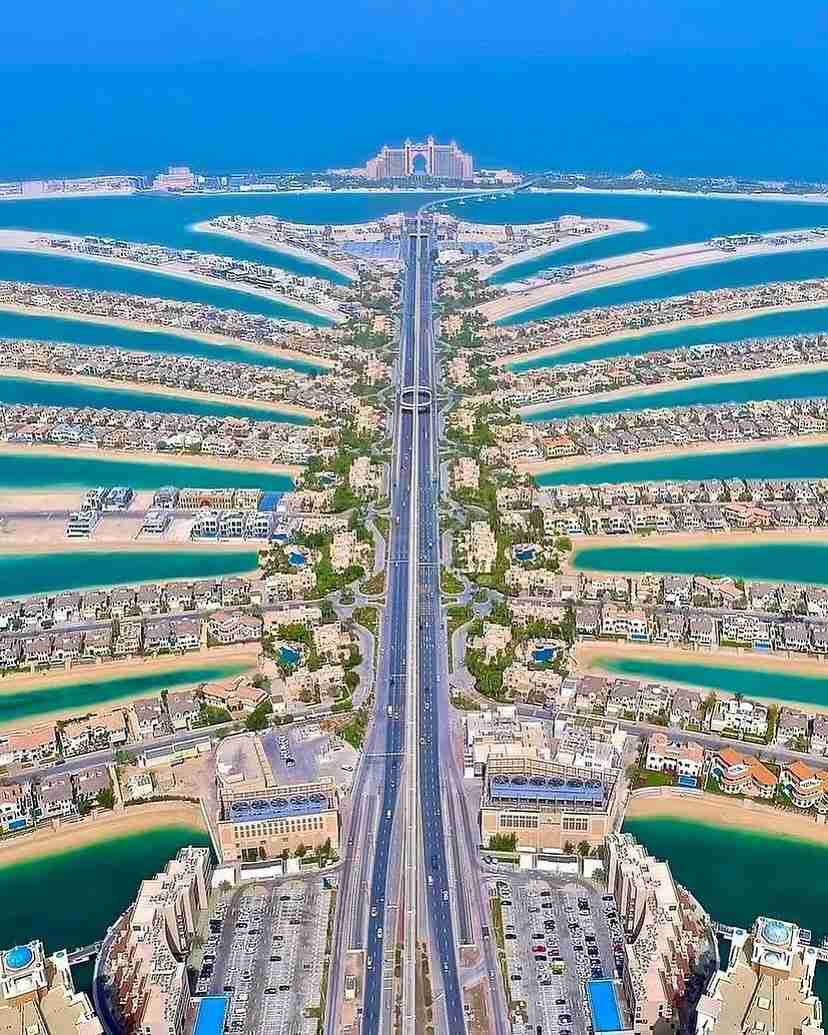 تصویر شماره 8