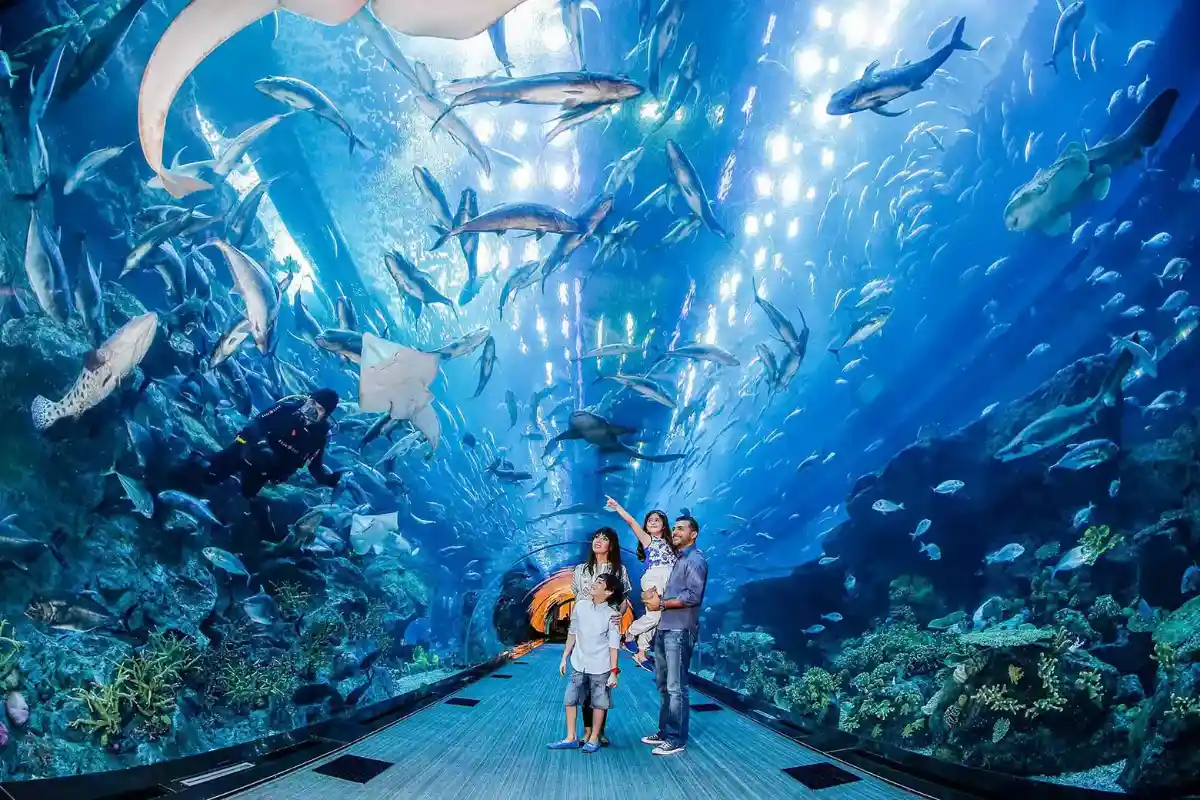Location and easy access to the Dubai Aquarium