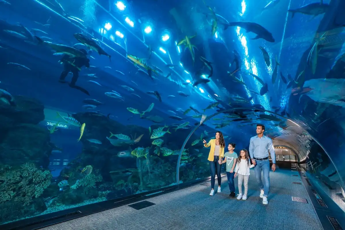 Family experience suitable for children at Dubai Aquarium